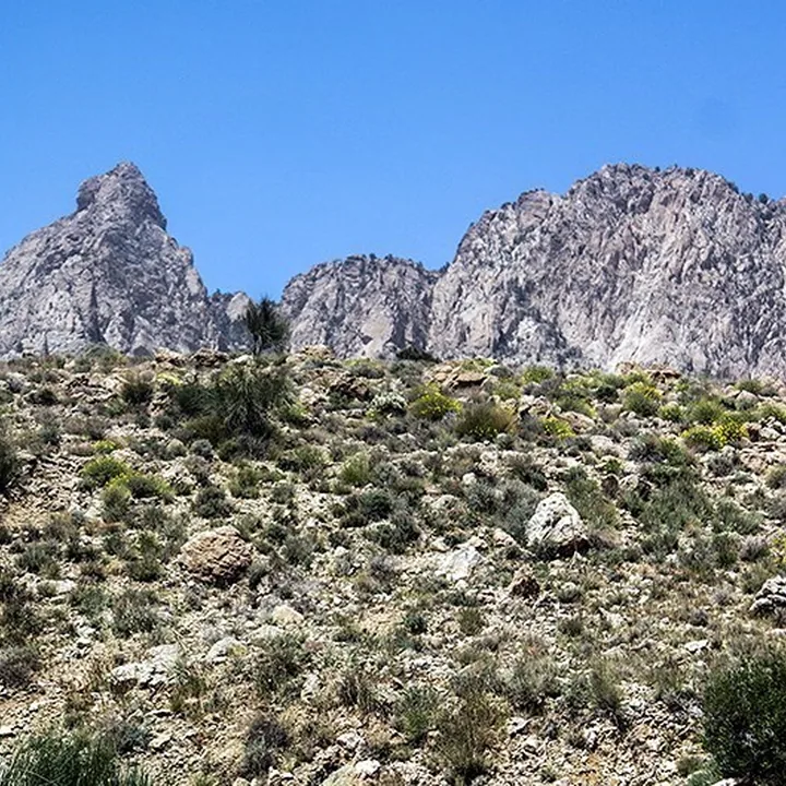 Tashger in Hormozgan